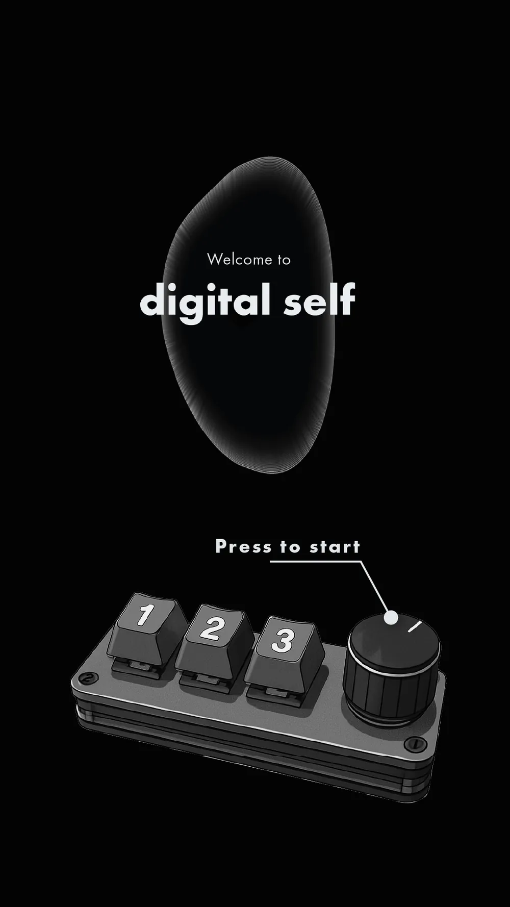 Start screen with the digital self wordmark and three keys